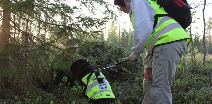 Taina Keinänen, Suomen Punainen Risti