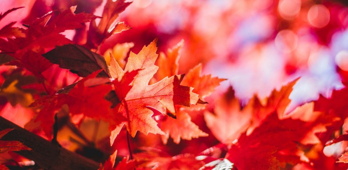 Jeremy Thomas/Unsplash